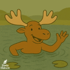 a moose is swimming in a pond with a data haven logo