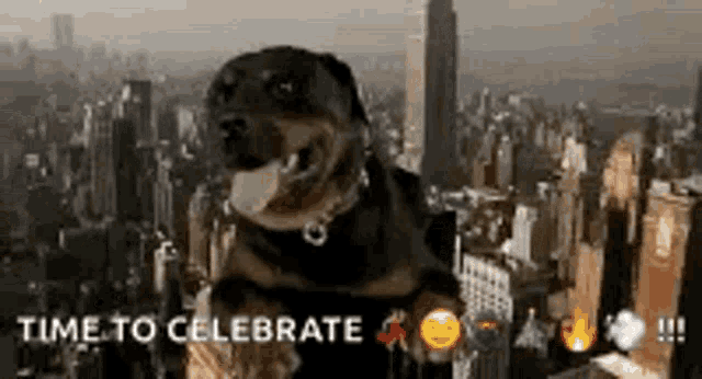a dog is standing in front of a city skyline with the words `` time to celebrate '' above it .