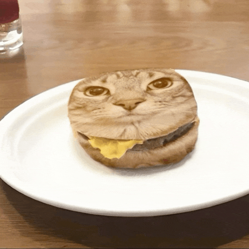 a white plate with a hamburger that looks like a cat