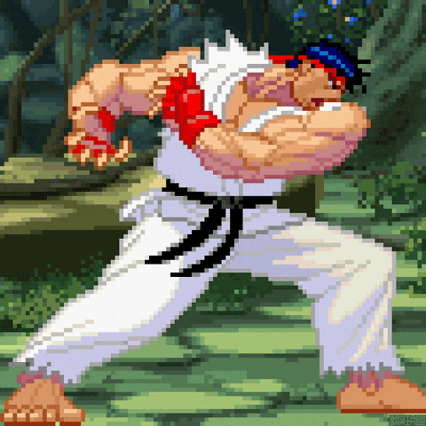 a pixel art of a fighter with a black belt and white pants