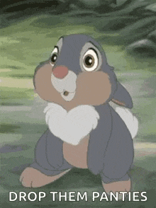 a cartoon rabbit is standing in the grass with the words `` drop them panties '' written on it .