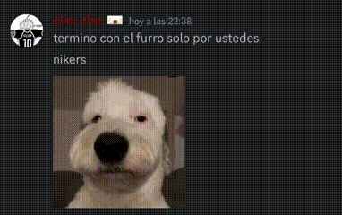 a screenshot of a dog with the words nikers in the upper right corner .
