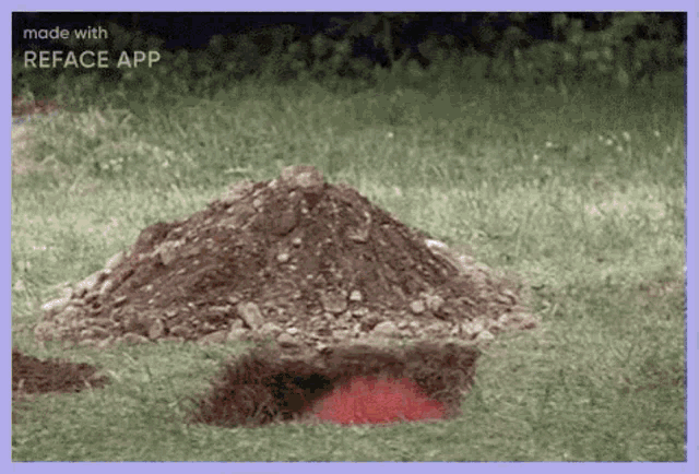 a pile of dirt is sitting on top of a grass covered field .