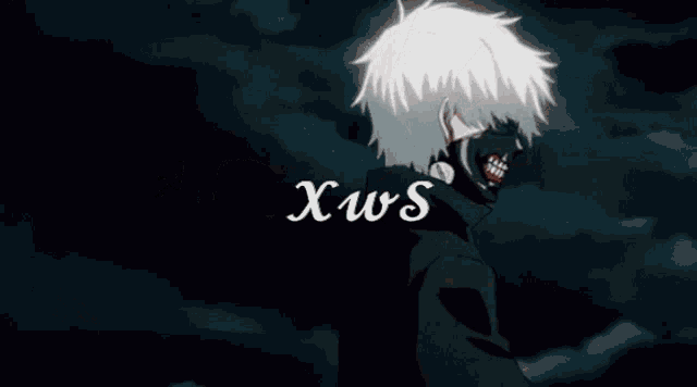 a close up of a person 's eyes with xws written in white