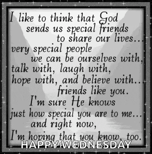 i like to think that god sends us special friends to share our lives ...