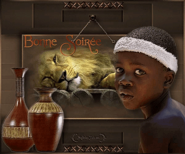 a picture of a boy and a lion with the words bonne soiree written on it