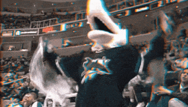 a shark mascot stands in front of a crowd at a stadium