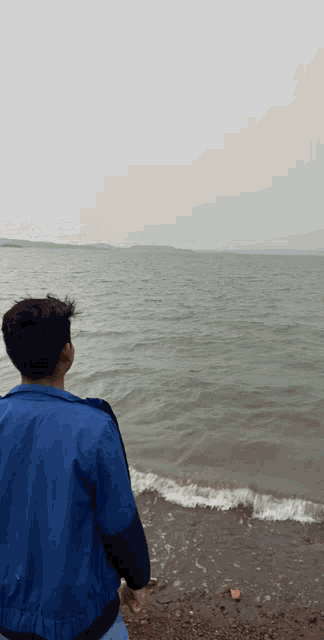 a man in a blue jacket stands on a beach looking out over the ocean