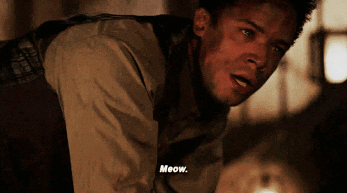a man says meow while laying on the ground