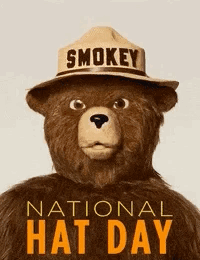 Nationalhatday Smokey GIF - Nationalhatday Smokey Onlyyoucanpreventwildfires GIFs