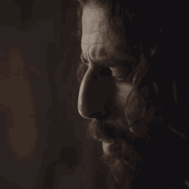 a close up of a man 's face with a beard and long hair