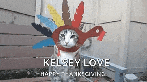 a cat wearing a turkey hat with feathers on it