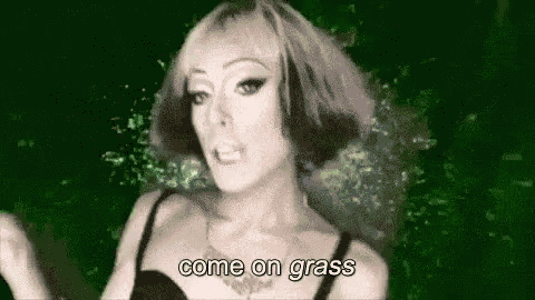 a woman in a black dress is dancing in front of a green background and says `` come on grass '' .