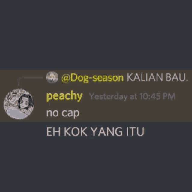 a screenshot of a conversation between dog-season kalian bau and peachy