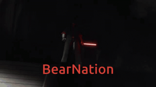 Bear Nation Bear GIF - Bear Nation Bear Bear Gang GIFs