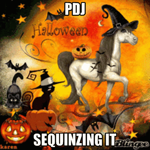 a picture of a horse with a pumpkin on its back and the words pdj sequencing it blingee