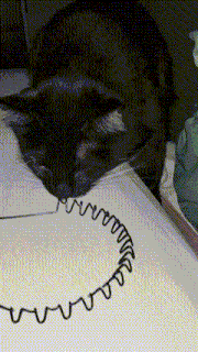 a cat is laying on a piece of paper with a drawing of a spiral on it