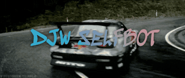 a car is driving down a road with the words djw selfbot written on it