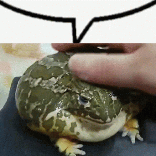 Froge Petting Frog GIF - Froge Frog Petting Frog GIFs