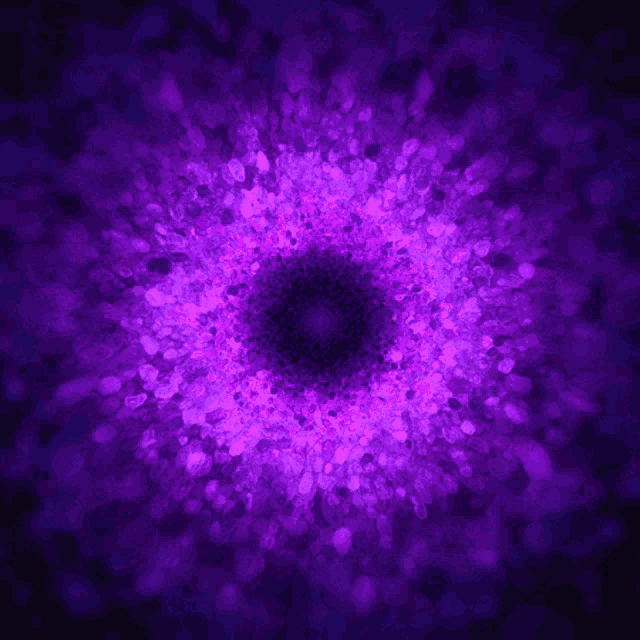 a purple and blue background with a purple circle in the center