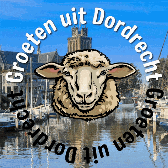 Dordrecht GIF - Dordrecht GIFs