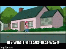 Meg Whale GIF - Meg Whale Familyguy GIFs
