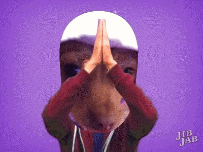 a purple background with jib jab written on the bottom right