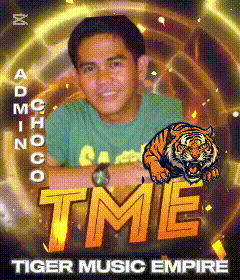 a man in a green shirt is featured on a poster for tiger music empire