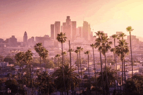 a city skyline with palm trees in the foreground at sunset