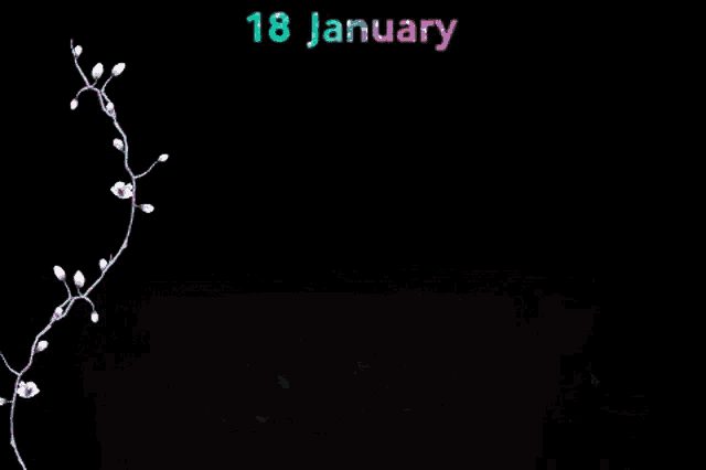 a black background with white flowers and the words 18 january