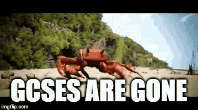 Gcses Crab Rave GIF - Gcses Gcse Crab Rave GIFs
