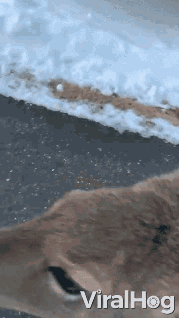Touching Care GIF - Touching Care Affection GIFs