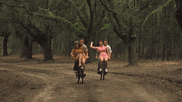Couples Riding A Bike Together Noah GIF - Couples Riding A Bike Together Noah Allie GIFs