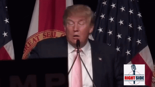 Donald Trump President GIF - Donald Trump President Debate GIFs