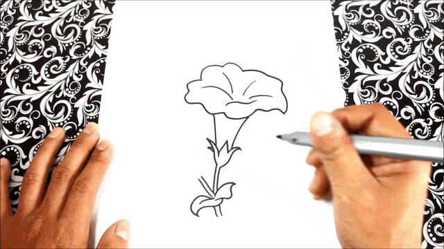 a person drawing a flower with a pen on a piece of paper