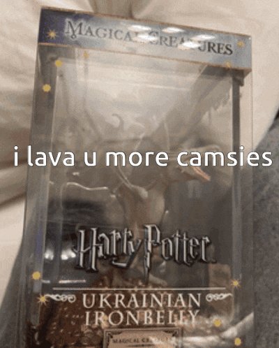 a harry potter ukrainian ironbelly is in a clear box