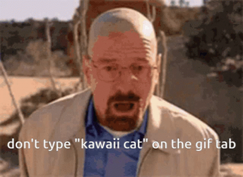 Kawaii Cat Dont Type GIF - Kawaii Cat Dont Type GIFs