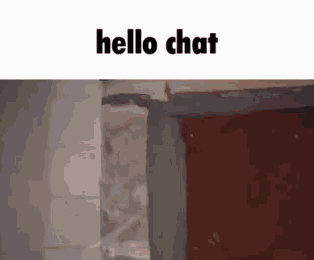 Yuri Velikiy Hello Chat GIF - Yuri Velikiy Hello Chat Hi GIFs