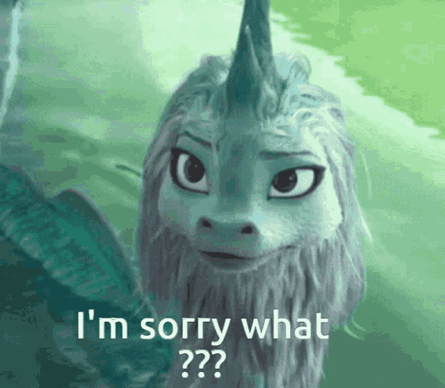 a cartoon unicorn says i 'm sorry what ??