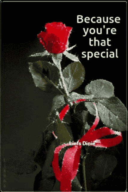 a picture of a red rose with the words because you 're that special on the bottom