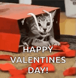 a cat is sitting in a cardboard box surrounded by red hearts and petals .