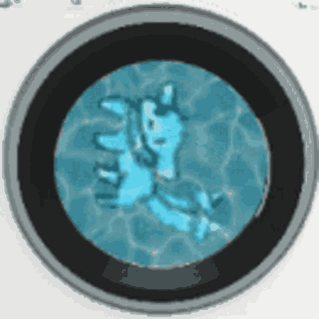 a circle with a picture of a hand in the water .