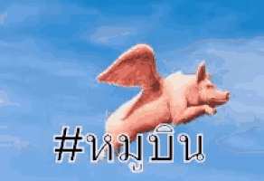 a pig with wings is flying through the air