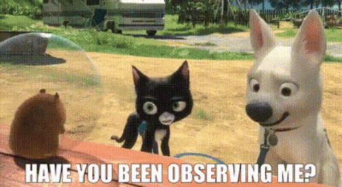 Bolt Movie Have You Been Observing Me GIF - Bolt Movie Have You Been Observing Me Observing Me GIFs