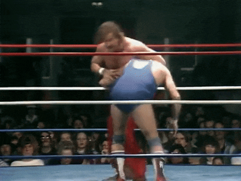 two men are wrestling in a ring while a crowd watches