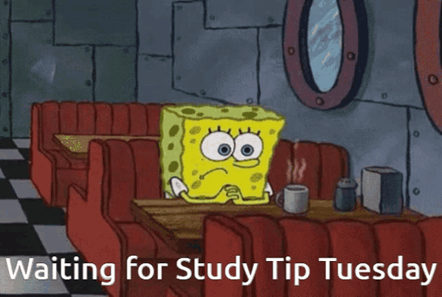 a cartoon of spongebob sitting at a table with the words waiting for study tip tuesday