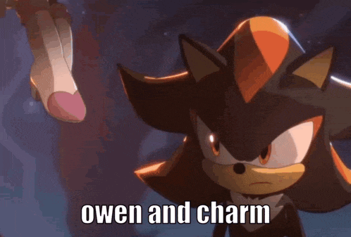 shadow the hedgehog and rouge the bat are standing next to each other