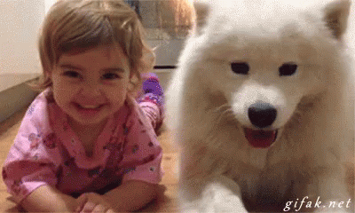 Smile Dog GIF - Smile Dog Toddler GIFs