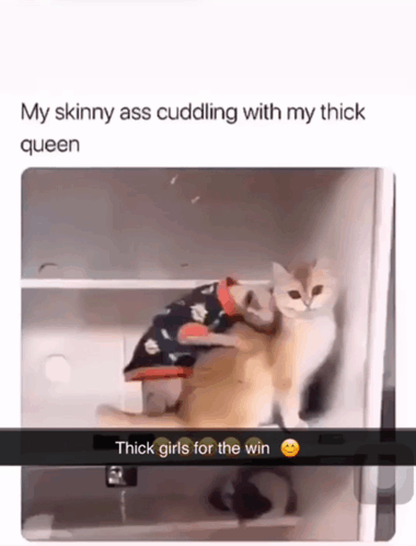 Thicc Queen GIF - Thicc Queen GIFs