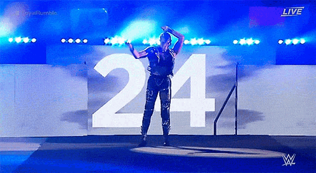 a wrestler stands on a stage with the number 214 in the background